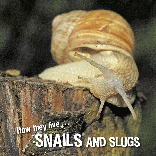 How they live... Snails and Slugs - David Withrington, Ivan Esenko - Okaši