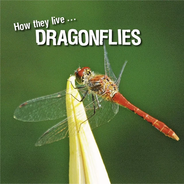 How they live... Dragonflies - David Withrington, Ivan Esenko - Okaši