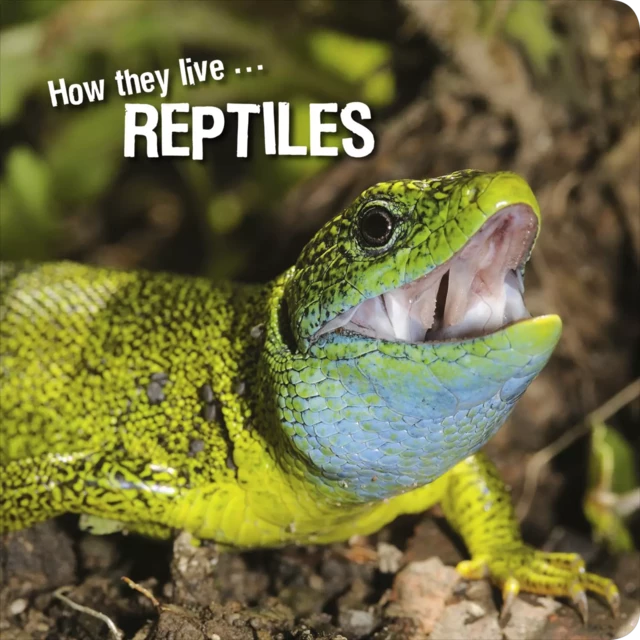 How they live... Reptiles - David Withrington, Ivan Esenko - Okaši