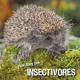 How they live... Insectivores