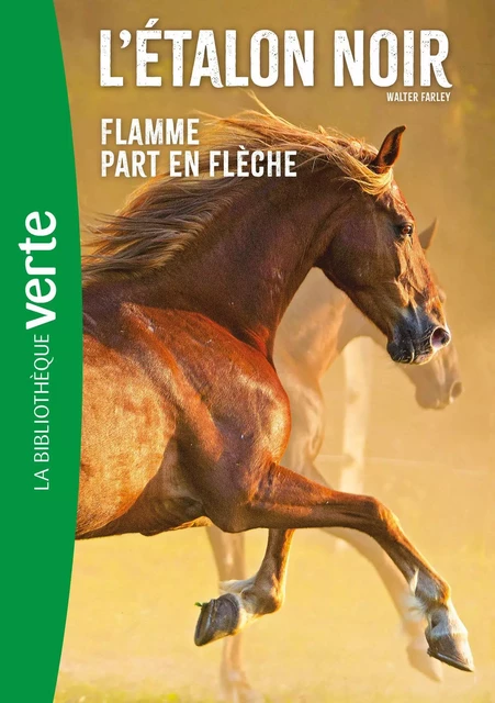 L'Etalon Noir NED 12- Flamme part en flèche - Walter Farley - Hachette Jeunesse