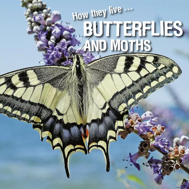 How they live... Butterflies and Moths - David Withrington, Ivan Esenko - Okaši