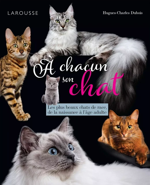 A chacun son chat - Hughes-Charles DUBOIS - Larousse