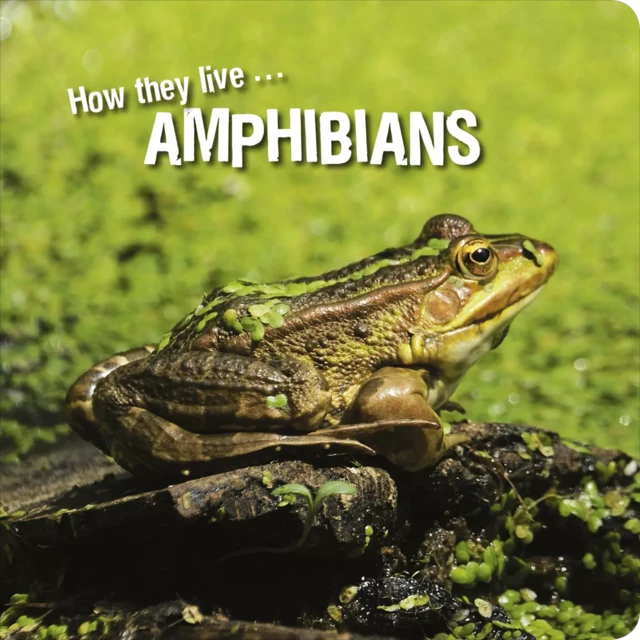 How they live... Amphibians - David Withrington, Ivan Esenko - Okaši