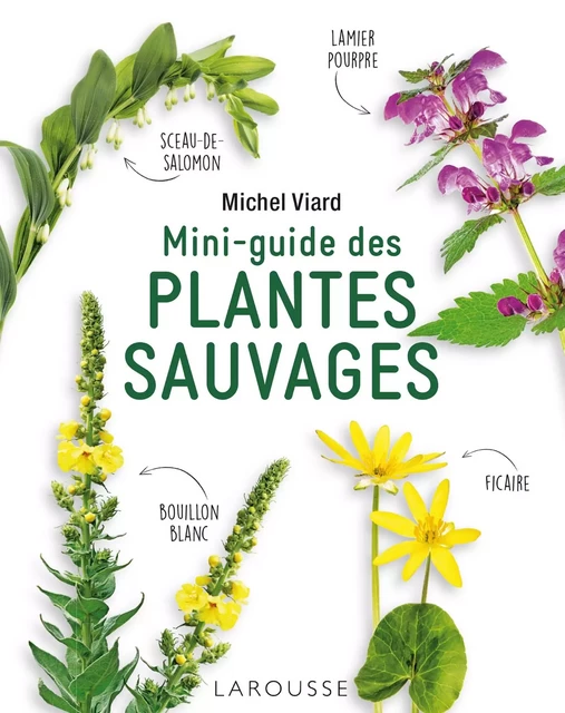 Mini-guide des plantes sauvages - Michel Viard - Larousse