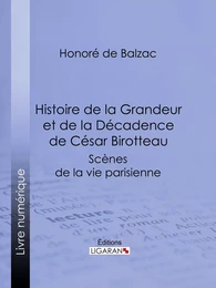 Histoire de la Grandeur et de la Décadence de César Birotteau