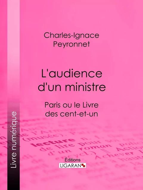 L'audience d'un ministre - Charles-Ignace Peyronnet,  Ligaran - Ligaran