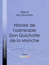 Histoire de l'admirable Don Quichotte de la Manche