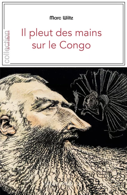 Il pleut des mains sur le Congo - Marc Wiltz - Magellan & Cie Éditions