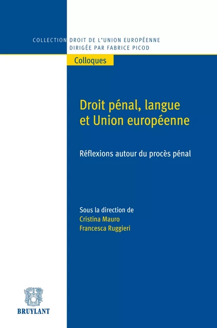 Droit pénal, langue et Union européenne -  - Bruylant