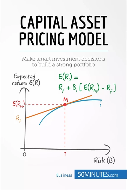 Capital Asset Pricing Model -  50MINUTES - 50Minutes.com