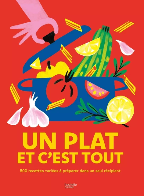 Un plat et c'est tout -  Collectif - Hachette Pratique