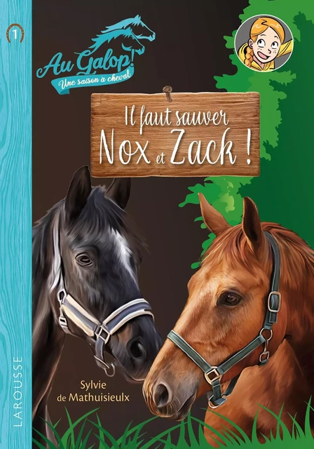 Roman AU GALOP, une année à cheval - Il faut sauver Nox et Zach - Sylvie Méhier de Mathuisieulx - Larousse