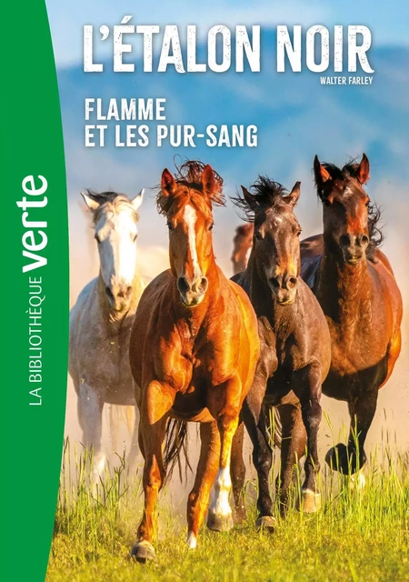 L'Etalon Noir NED 11 - Flamme et les pur-sang - Walter Farley - Hachette Jeunesse