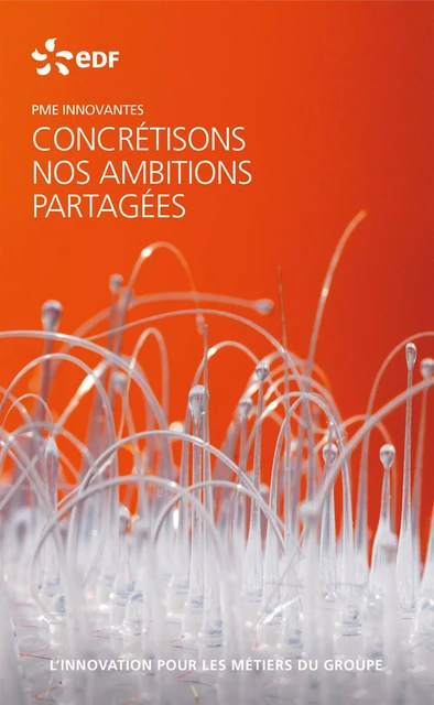 EDF PME innovantes - L'innovation pour les métiers du groupe -  Edf - Publishroom