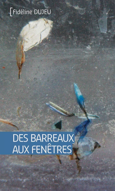 Des barreaux aux fenêtres - Fidéline Dujeu - Ker