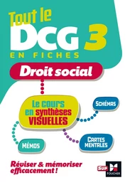 Tout le DCG 3 :  mémo cartes - Révision