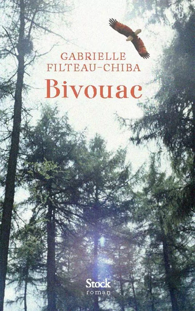 Bivouac - Gabrielle Filteau-Chiba - Stock