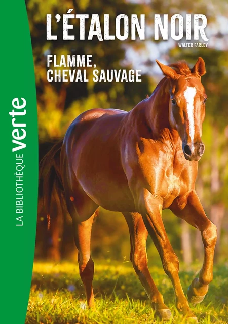 L'Etalon Noir NED 10 -  Flamme cheval sauvage - Walter Farley - Hachette Jeunesse