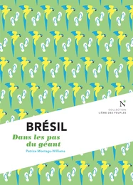 Brésil : Dans les pas du géant