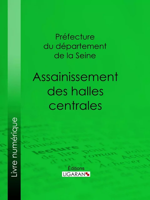 Assainissement des halles centrales - Préfecture Département de la Seine - Ligaran