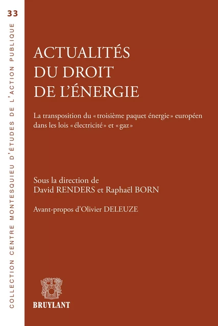 Actualités du droit de l'énergie -  - Bruylant