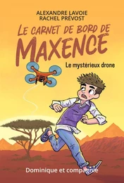 Le mystérieux drone