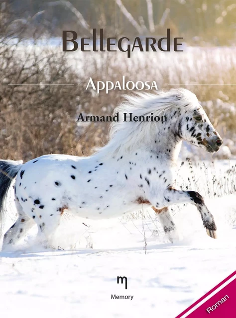 Appaloosa - Armand Henrion - Memory