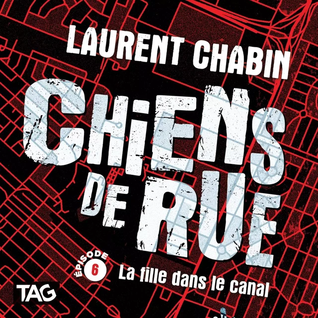 Chiens de rue - épisode 6 : La fille dans le canal - Laurent Chabin - Dominique et compagnie - Audio 