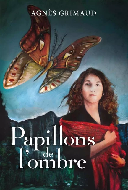 Papillons de l'ombre - Agnès Grimaud - Dominique et compagnie