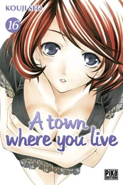 A town where you live T16