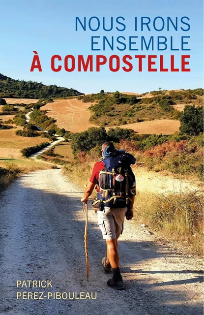 Nous irons ensemble à Compostelle - Patrick Pérez-Pibouleau - Librinova