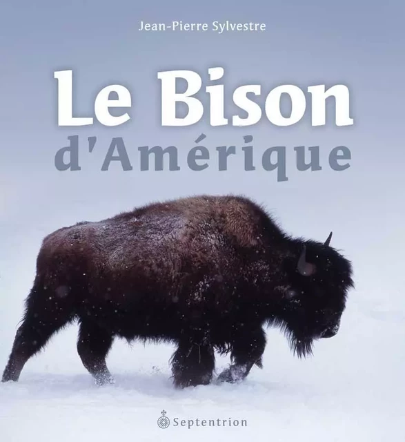 Bison d'Amérique (Le) - Jean-Pierre Sylvestre - Éditions du Septentrion