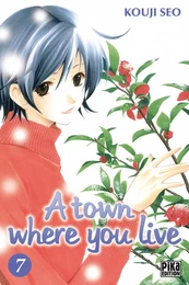 A town where you live T07