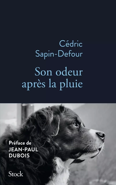 Son odeur après la pluie - Cédric Sapin-Defour - Stock