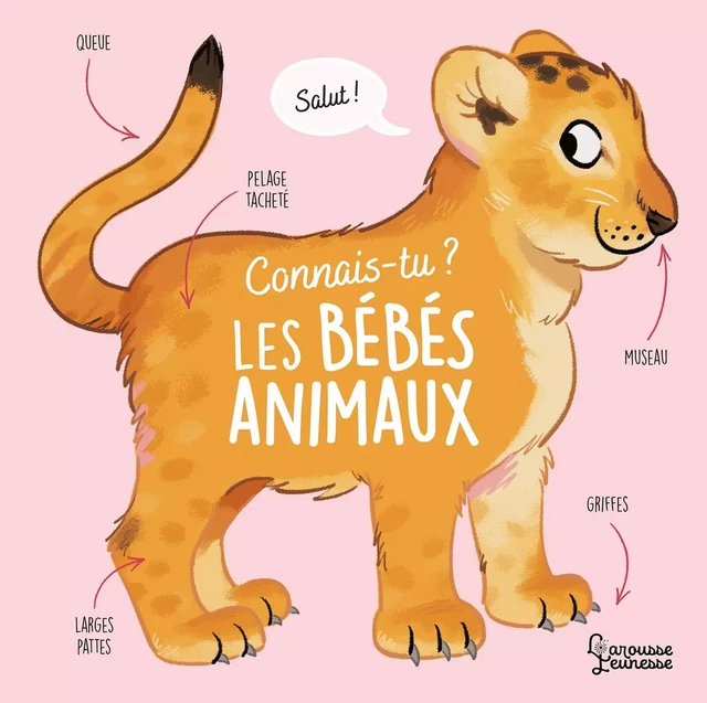 Connais-tu les bébés animaux ? - Olivier Le Gall - Larousse