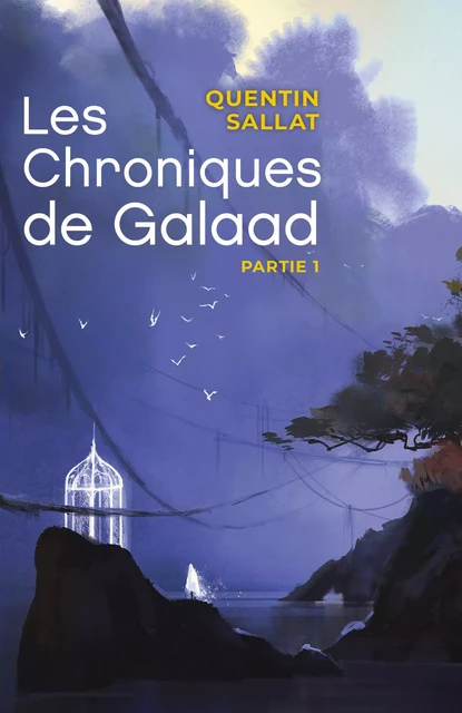 Les Chroniques de Galaad  Partie 1 - Quentin Sallat - Librinova