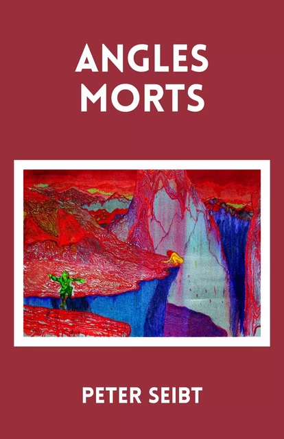 Angles morts - Peter Seibt - Librinova