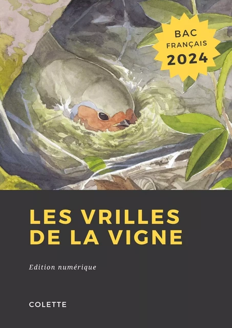 Les vrilles de la vigne -  Colette - Librofilio