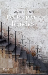 Petites pierres blanches