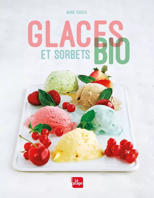 Glaces et sorbets bio - NED - Marie Chioca - La Plage