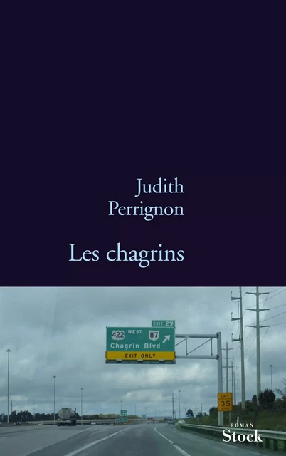 Les chagrins - Judith Perrignon - Stock