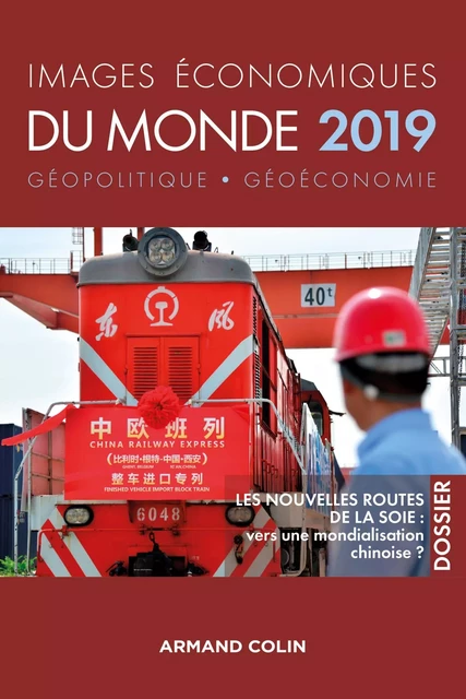 Images économiques du monde 2019 - François Bost, Laurent Carroué, Sébastien Colin, Antoine Laporte, Christian Pihet, Olivier Sanmartin, David Teurtrie - Armand Colin