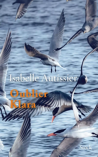 Oublier Klara - Isabelle Autissier - Stock