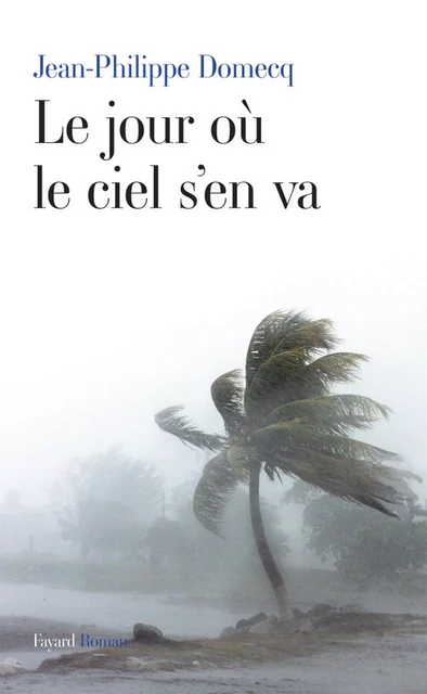 Le jour où le ciel s'en va - Jean-Philippe Domecq - Fayard