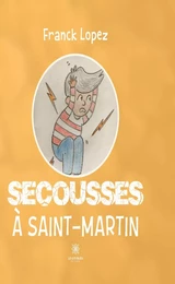 Secousses à Saint-Martin