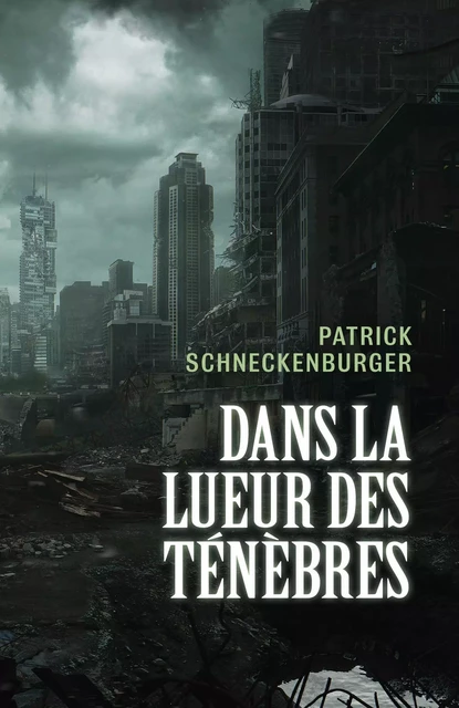 Dans la lueur des ténèbres - Patrick Schneckenburger - Librinova