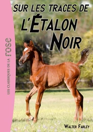 L'Etalon Noir 07 - Sur les traces de l'Étalon Noir