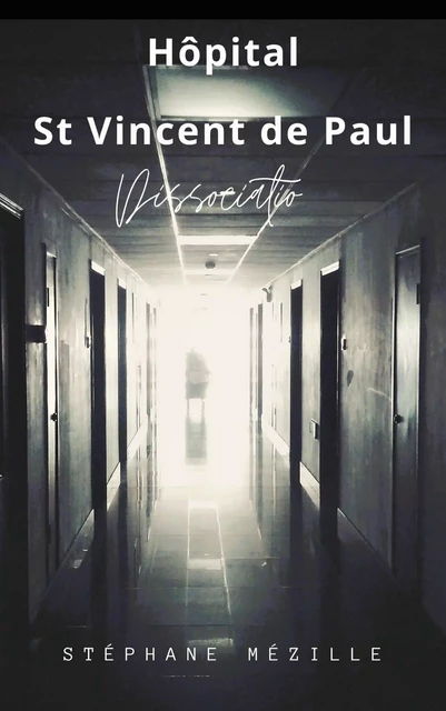 Hôpital St Vincent de Paul - Stephane Mezille - Librinova