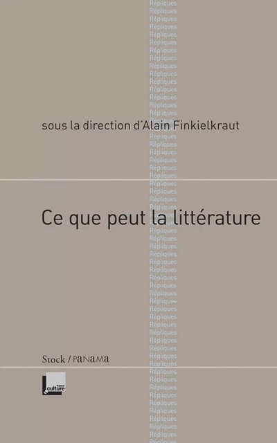 Ce que peut la littérature - Alain Finkielkraut - Stock